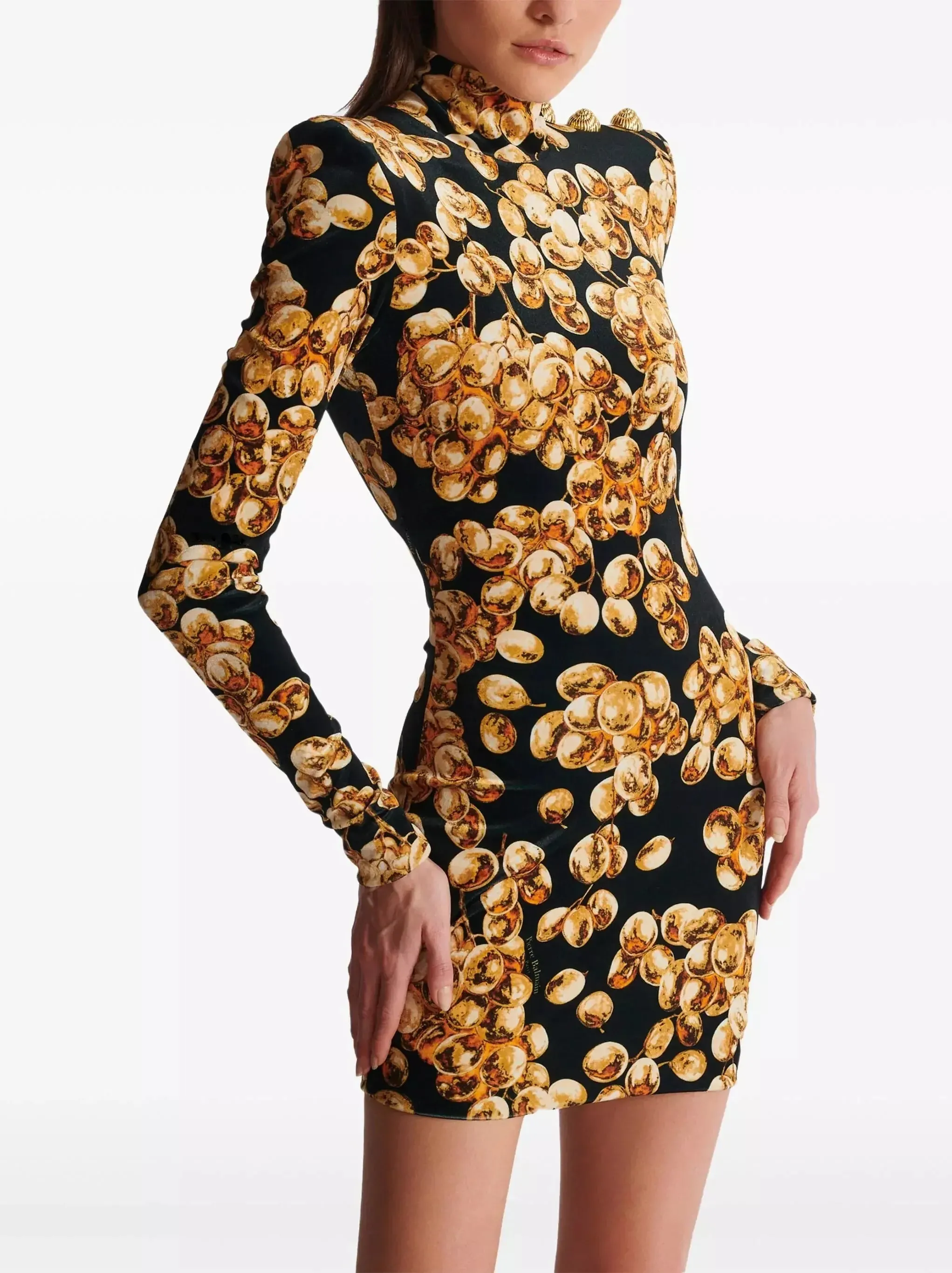 Black with Gold-Tone Grape Print Velvet Dress