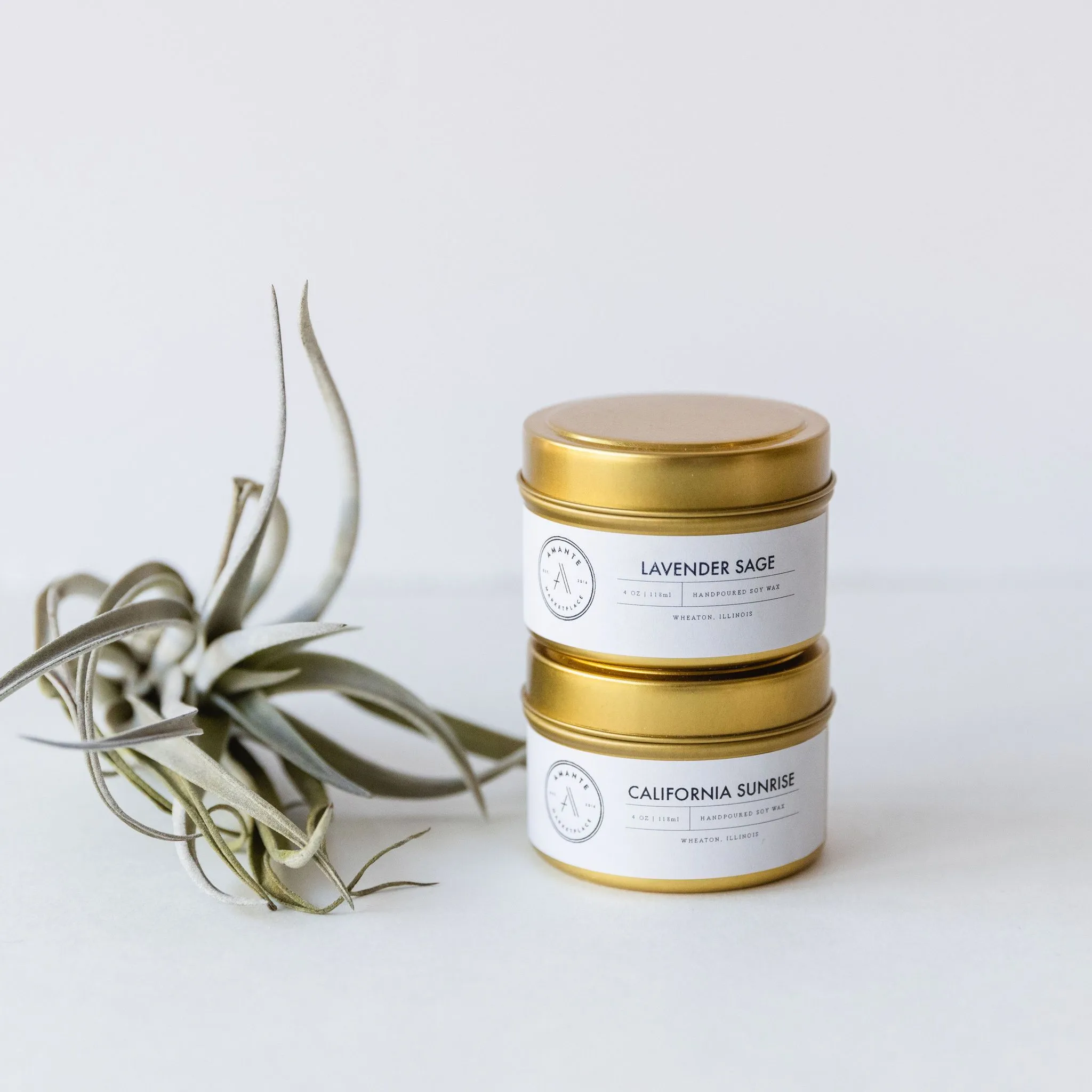 Seasonal Soy Candles- 4oz